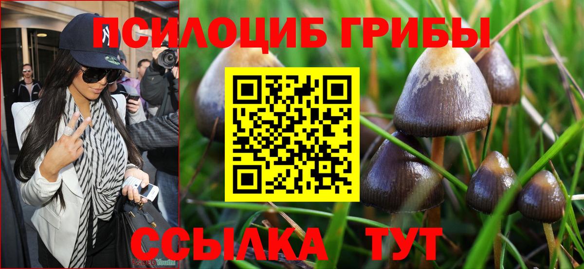Ессентуки  Галлюциногенные грибы мицелий  Вход с VPN 