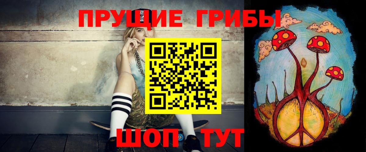 Галлюциногенные грибы мицелий Ессентуки